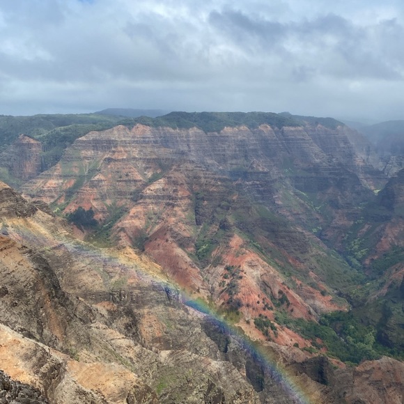 Meet your Posher, Larry - Picture 7 of 12